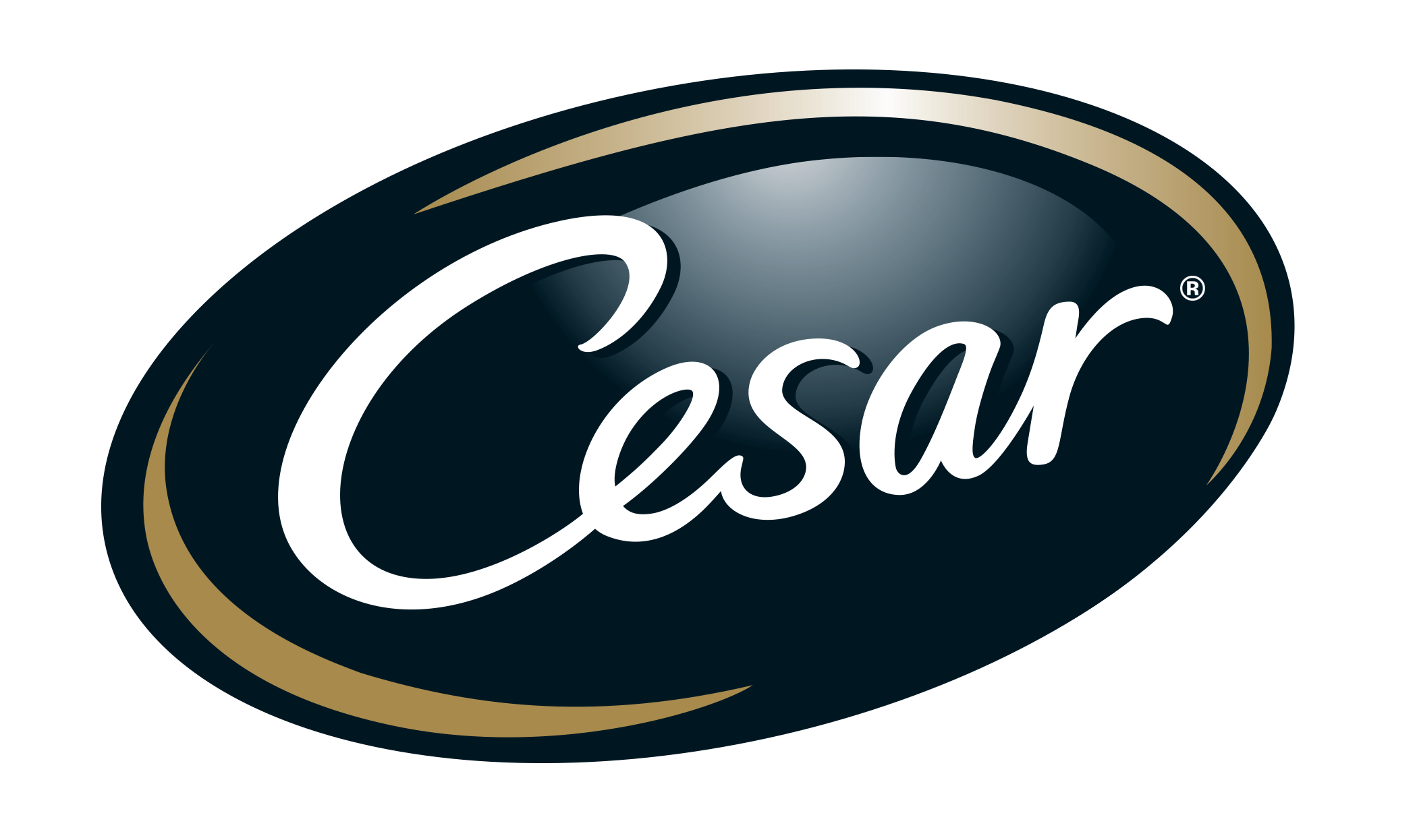 Cesar logo