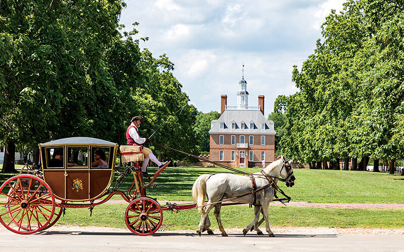 Man driving a carriage