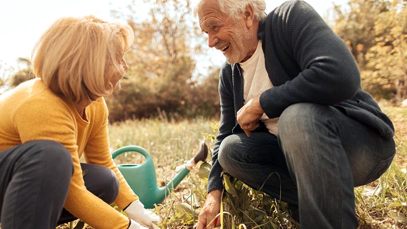 Gardening Can Improve Your Mental Health